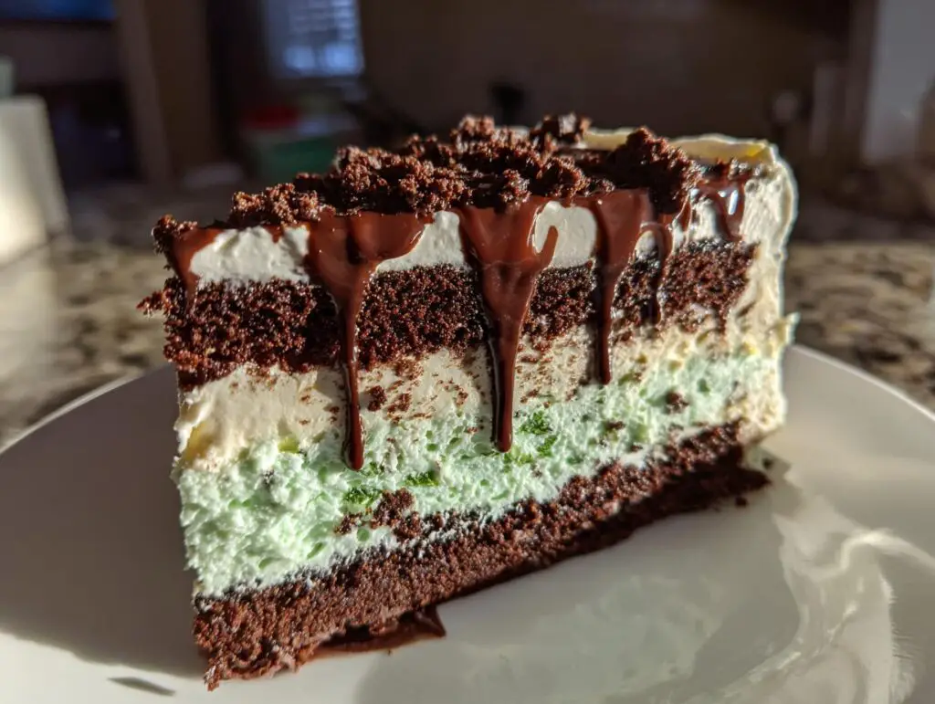 A delicious slice of Mint Chocolate Chip Ice Cream Cake with chocolate drizzle.