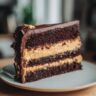peanut butter chocolate layer cake slice 3