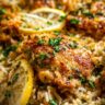 Amazing One Pot Lemon Herb Chicken and Rice