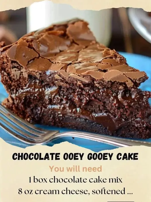 Chocolate Ooey Gooey Cake